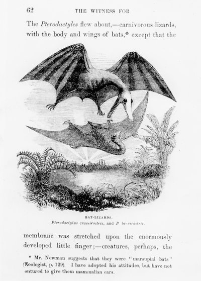 Bat-Lizards by English School